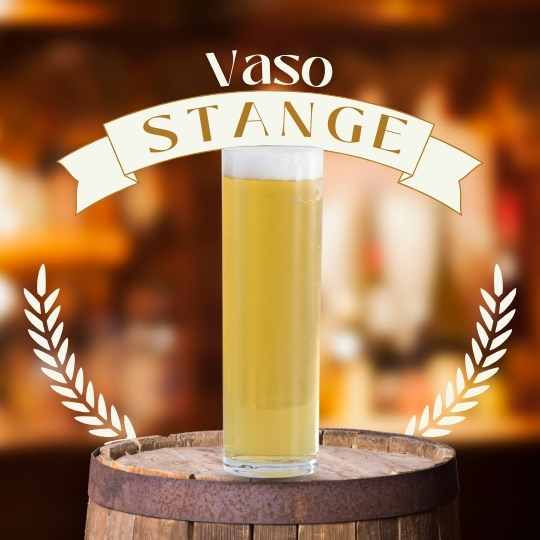 VASO STANGE REVISTA MRKETING