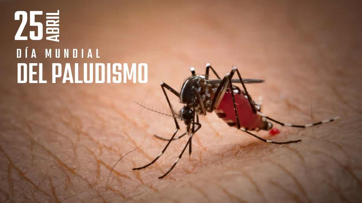 Día Mundial del Paludismo