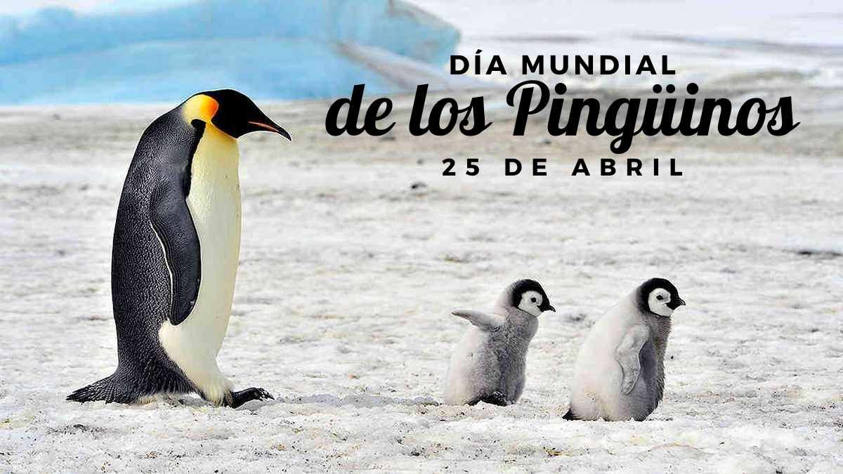 Día Mundial de los pingüinos