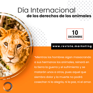 10 de diciembre Día Internacional de los Derechos de los Animales