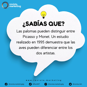 10 de enero Día Internacional de las Aves Sabias que las palomas