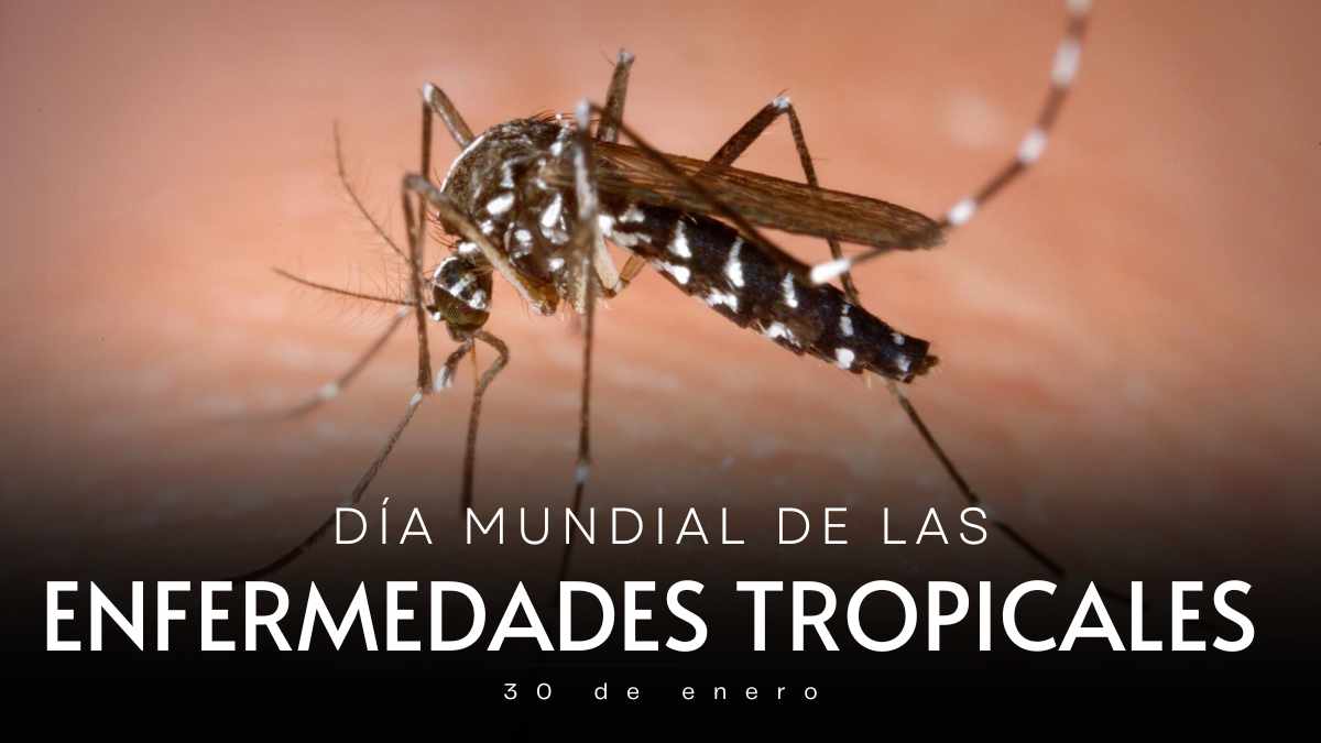 30 de enero D&iacute;a Mundial de la Enfermedades Tropicales Desatendidas (ETD)