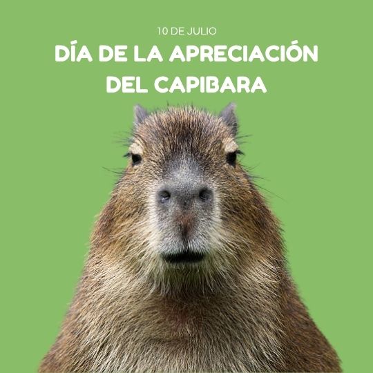 10 de julio Día de Apreciación del Capibara