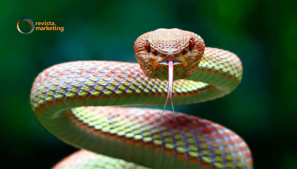 16 de julio Dia Mundial de la Serpiente en Revista Marketing
