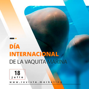 18 de julio Día Mundial de la Vaquita Marina