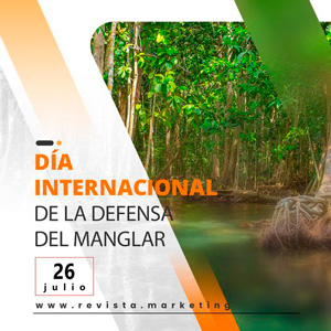 26 de julio Día Internacional de defensa del Ecosistema Manglar