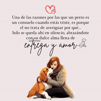 Frase para el Perro de Revista Marketing