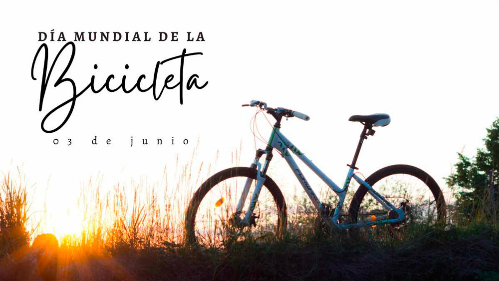 Día Mundial de la Bicicleta
