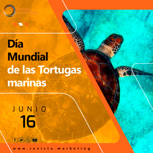 16 de junio Día Mundial de las Tortugas Marinas
