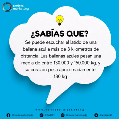 Dato curioso de los Oceanos revista