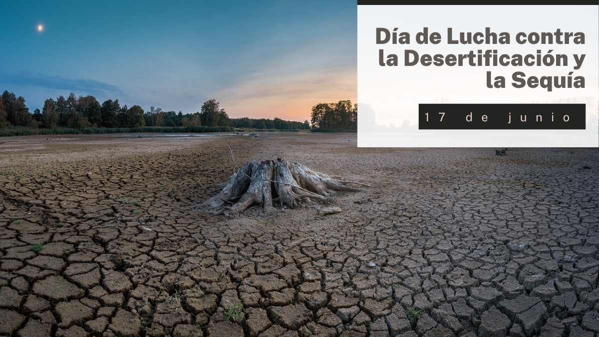  Día de Lucha contra la Desertificación y la Sequía