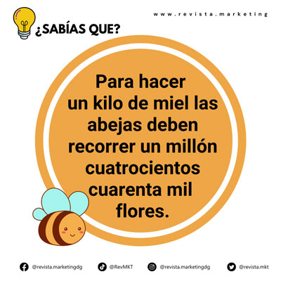 20 de mayo Dia Mundial de las Abejas dato curioso
