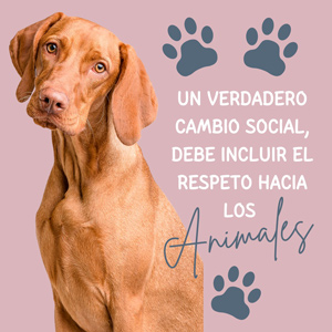 04 de octubre Día Mundial de los Animales frases