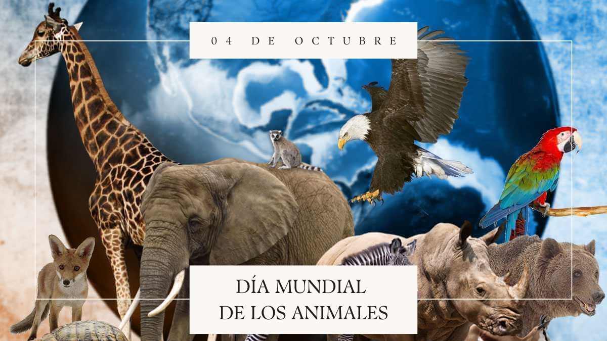 04 de octubre D&iacute;a Mundial de los Animales