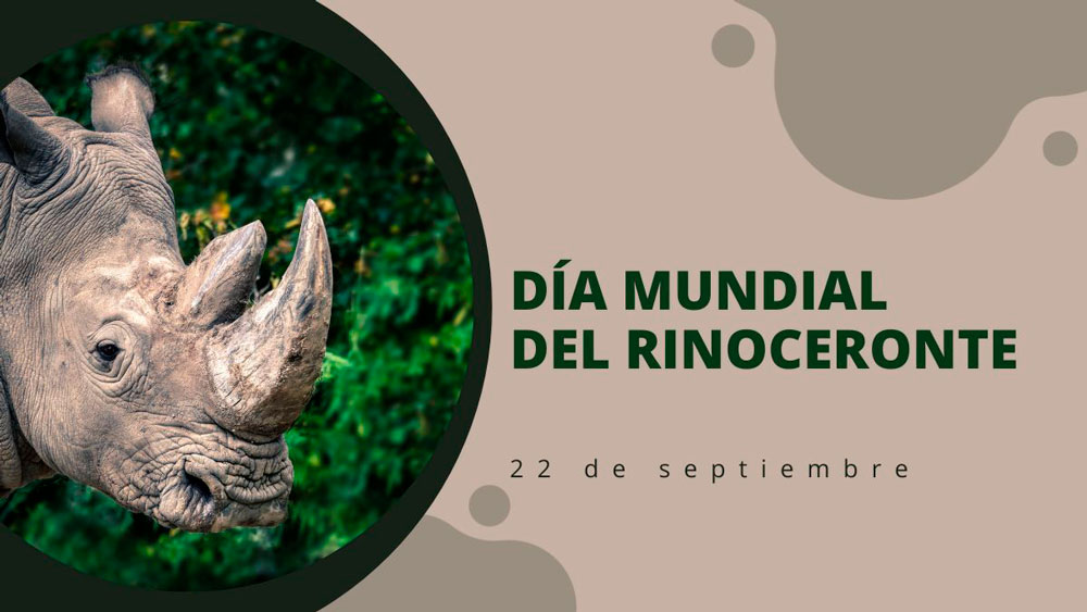 22 de septiembre D&iacute;a Mundial del Rinoceronte