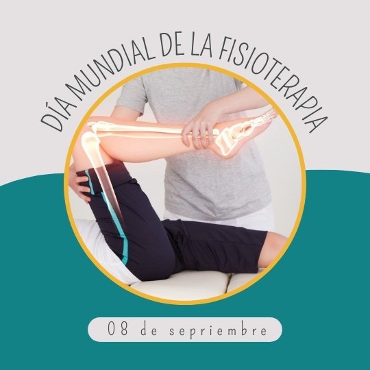 8 DE SEPTIEMBRE DIA MUNDIAL DE LA FISIOTERAPIA 
