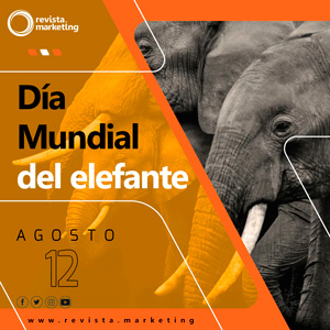 12 de agosto Dia Mundial del Elefante en Revista Marketing