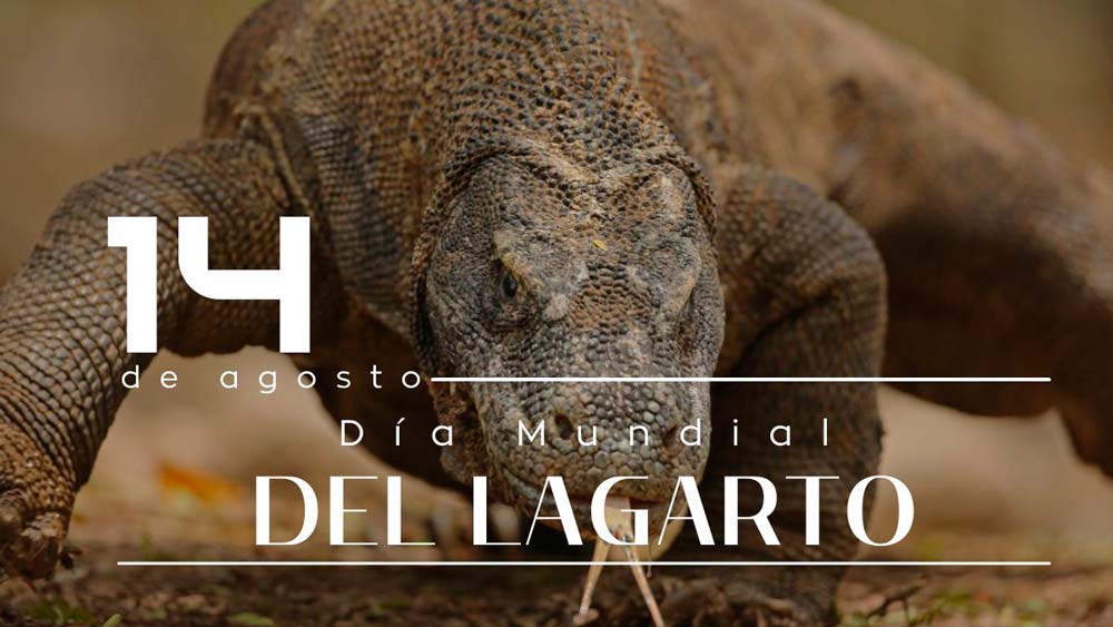 Día Mundial del Lagarto