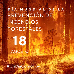 18 de agosto Día Mundial de la Prevención de Incendios Forestales