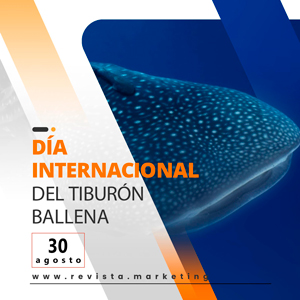 30 de Agosto Dia Internacional del Tiburon Ballena en revista marketing
