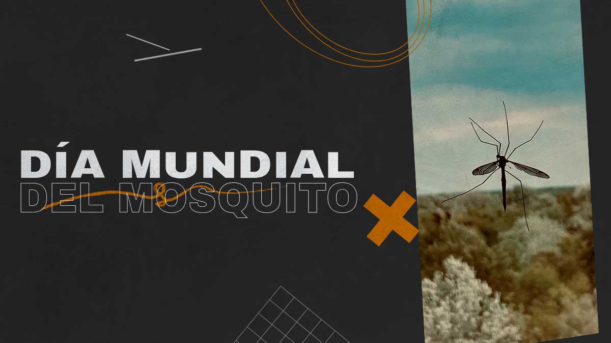 DIA MUNDIAL DEL MOSQUITO EN REVISTA MARKETING