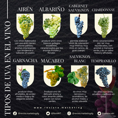 Tipos de Uvas para Vinos