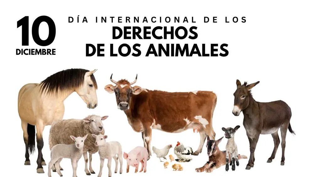 10 de diciembre D&iacute;a Internacional de los Derechos de los Animales