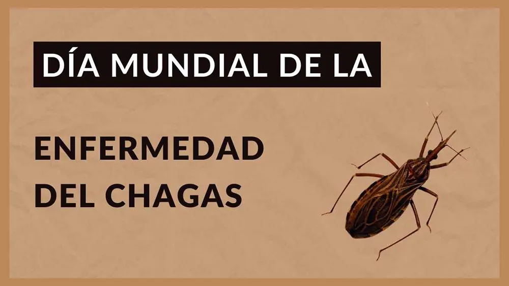 14 de abril D&iacute;a Mundial de la Enfermedad de Chagas