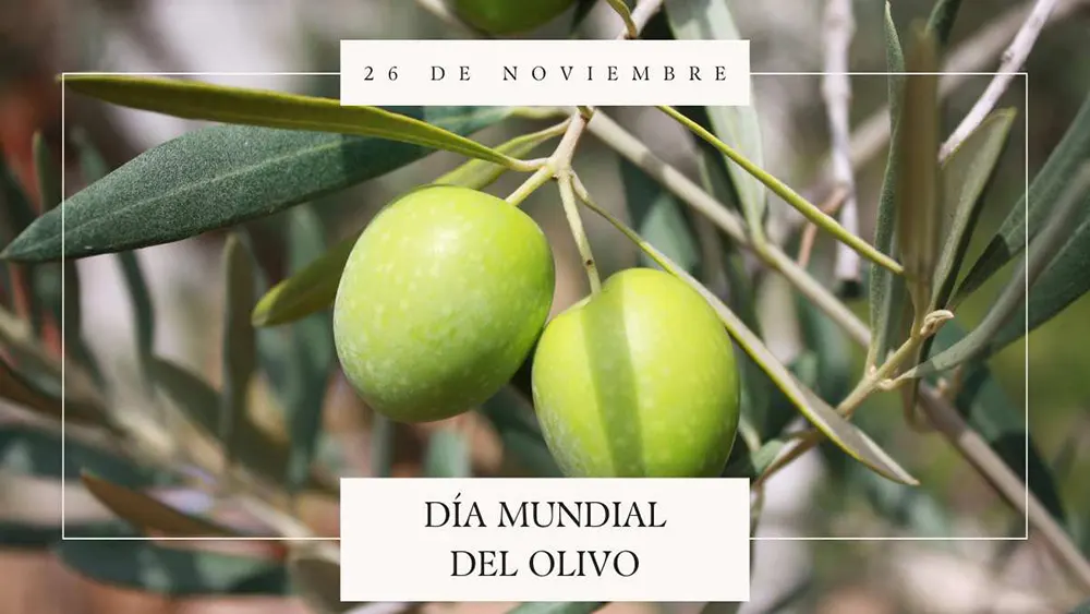 26 de noviembre D&iacute;a Mundial del Olivo