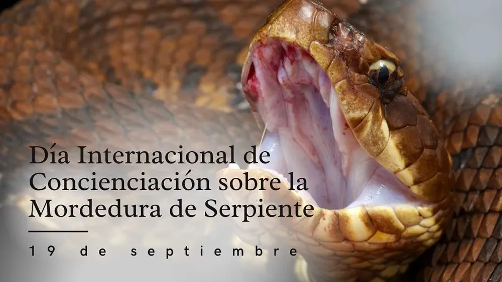 D&iacute;a Internacional de Concienciaci&oacute;n sobre la Mordedura de Serpiente 19 de septiembre