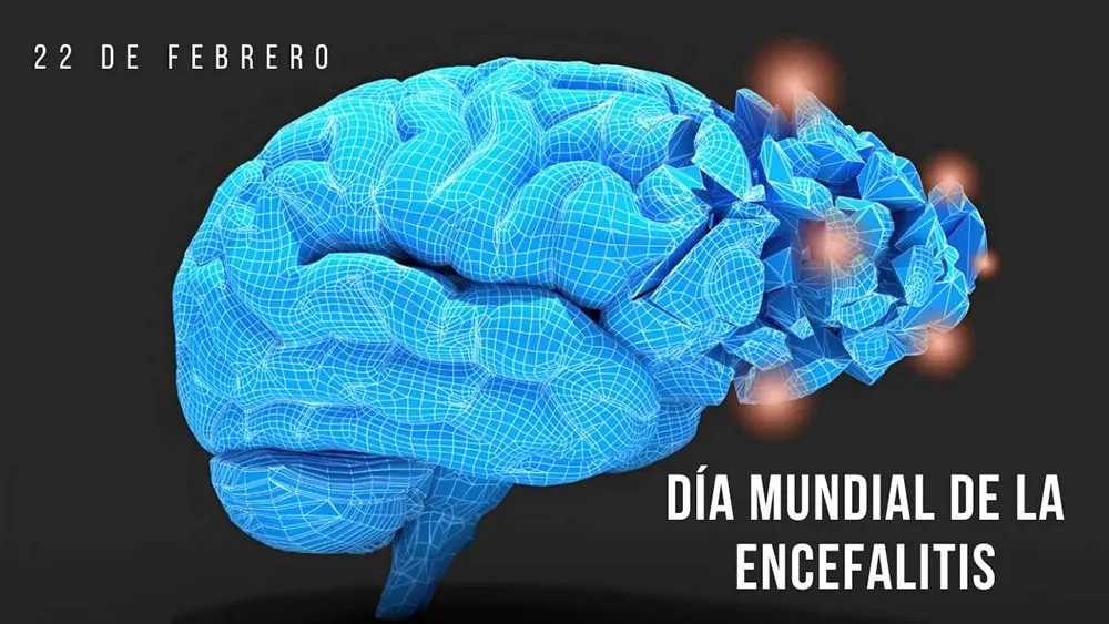 22 de febrero D&iacute;a Mundial de la Encefalitis