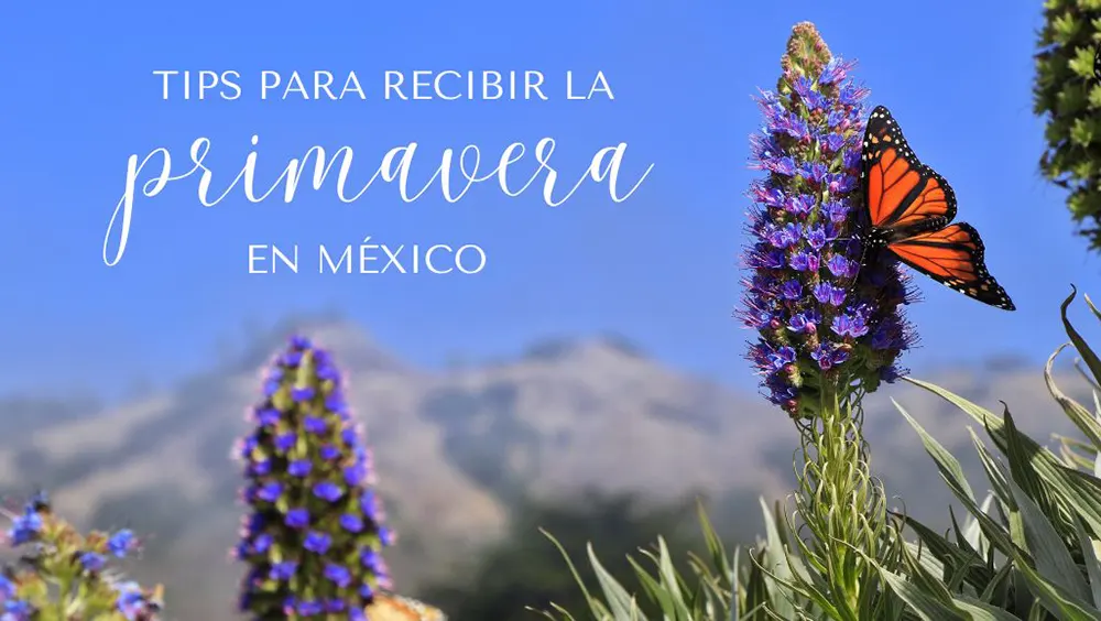 Tips para recibir la primavera en M&eacute;xico