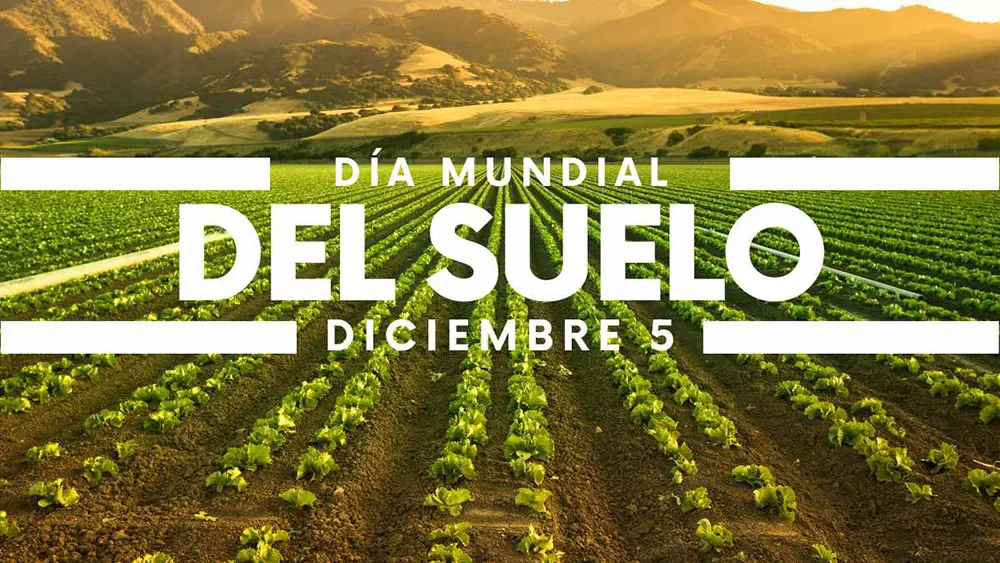 D&iacute;a Mundial del Suelo 05 de diciembre