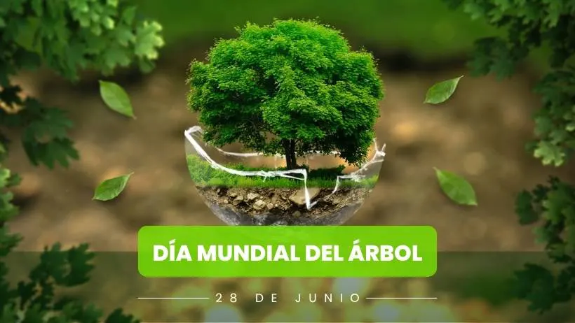 28 de junio D&iacute;a Mundial del &Aacute;rbol