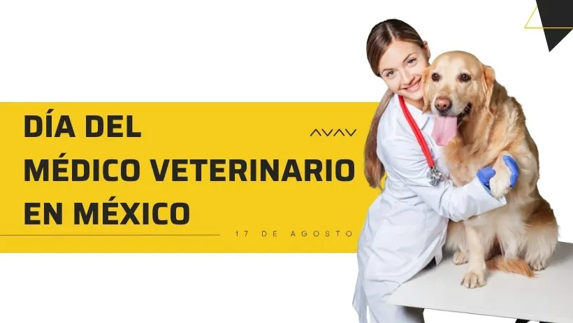 D&iacute;a del Veterinario en M&eacute;xico